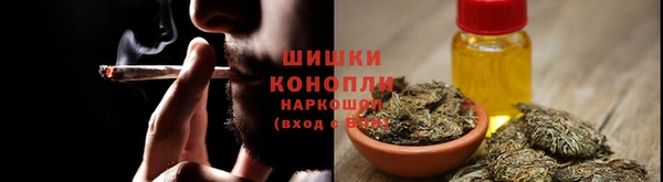 СК Вязьма